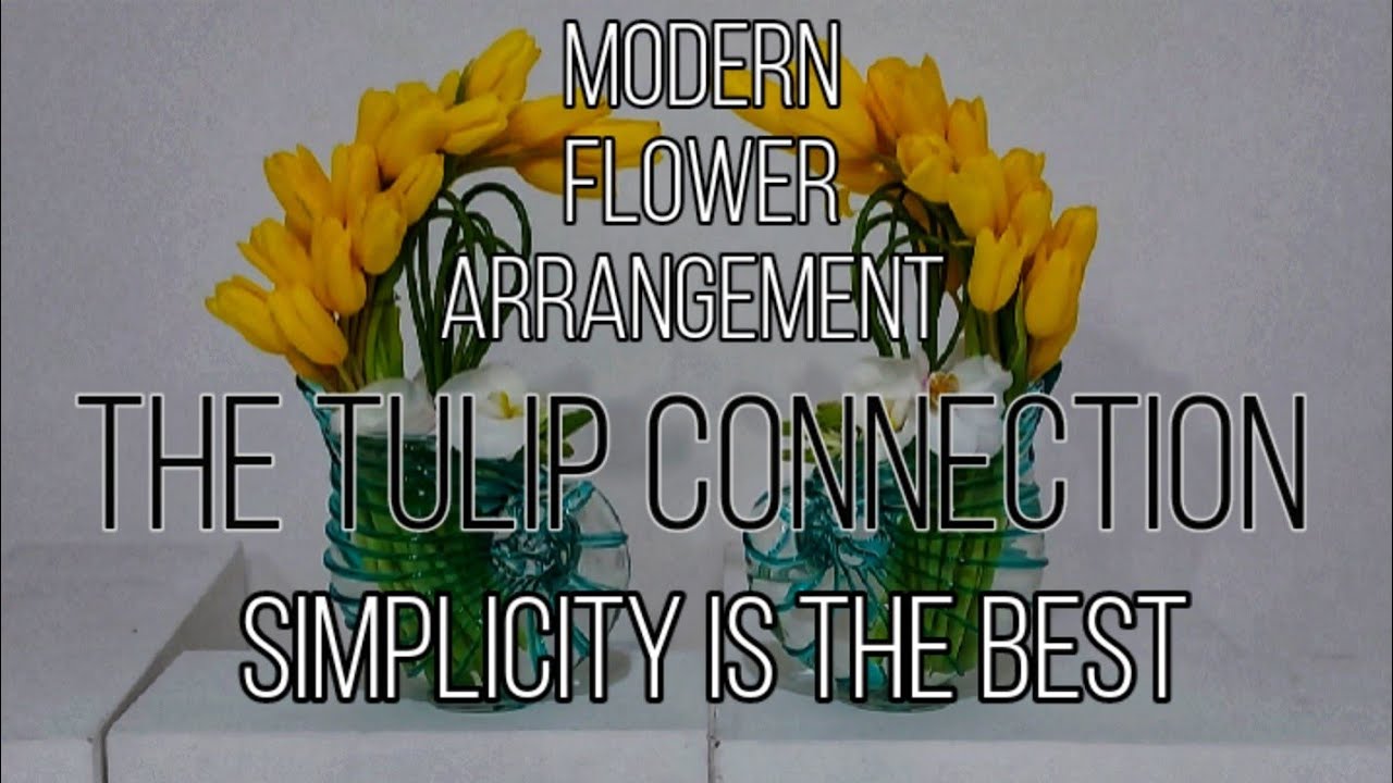 THE TULIP CONNECTION