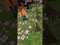Minecraft with Realistic Bawks #minecraft #chickens #trendingshorts  @crazycoopchickens