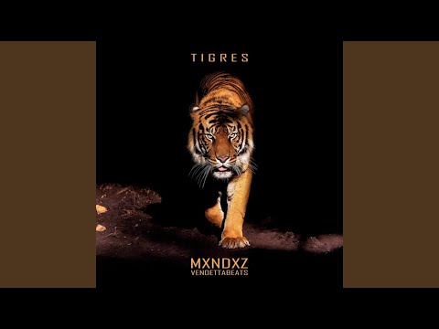 Tigres adlı videoyu YouTube'da izle Tigres adlı videoyu YouTube'da izle