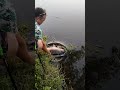 Рыбалка на реке 🤣 Pêche gratuite 免费钓鱼 Магазин для рыбалки