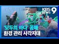 해양 관리 사각지대 ‘공해’…“모두의 바다 지켜야” [9시 뉴스] / KBS  2024.05.19.