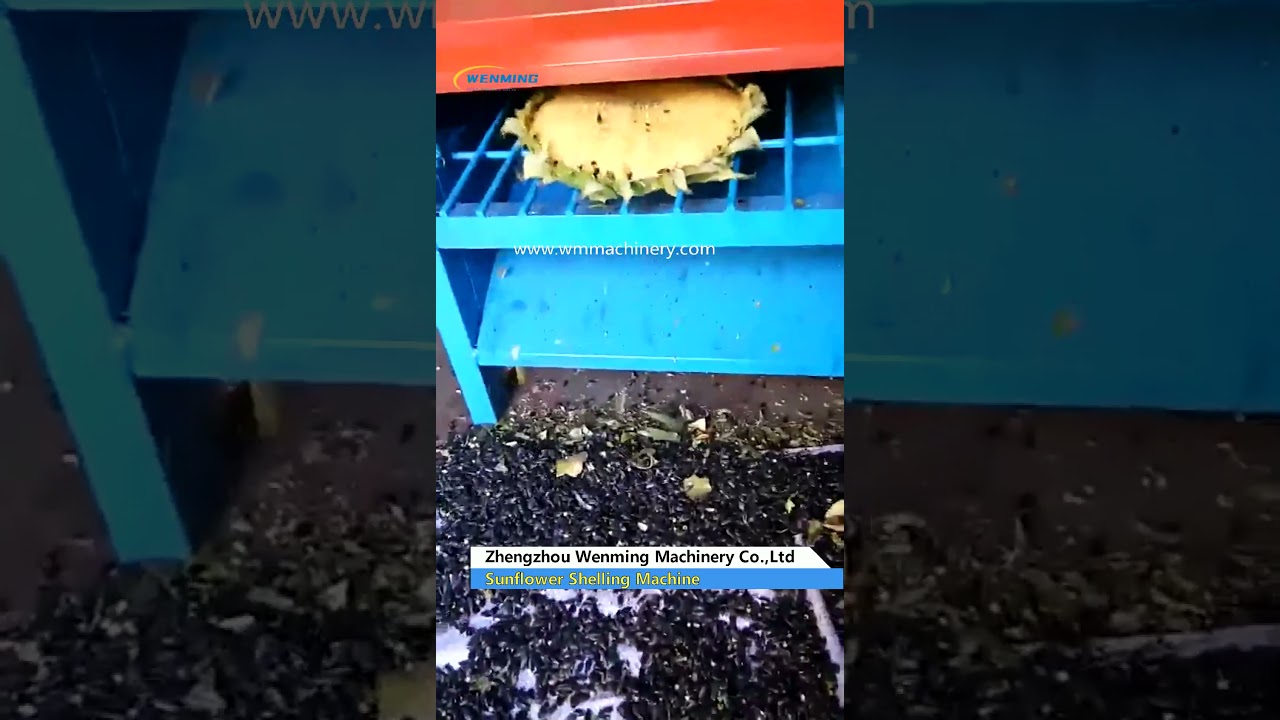 Sunflower Shelling Machine 