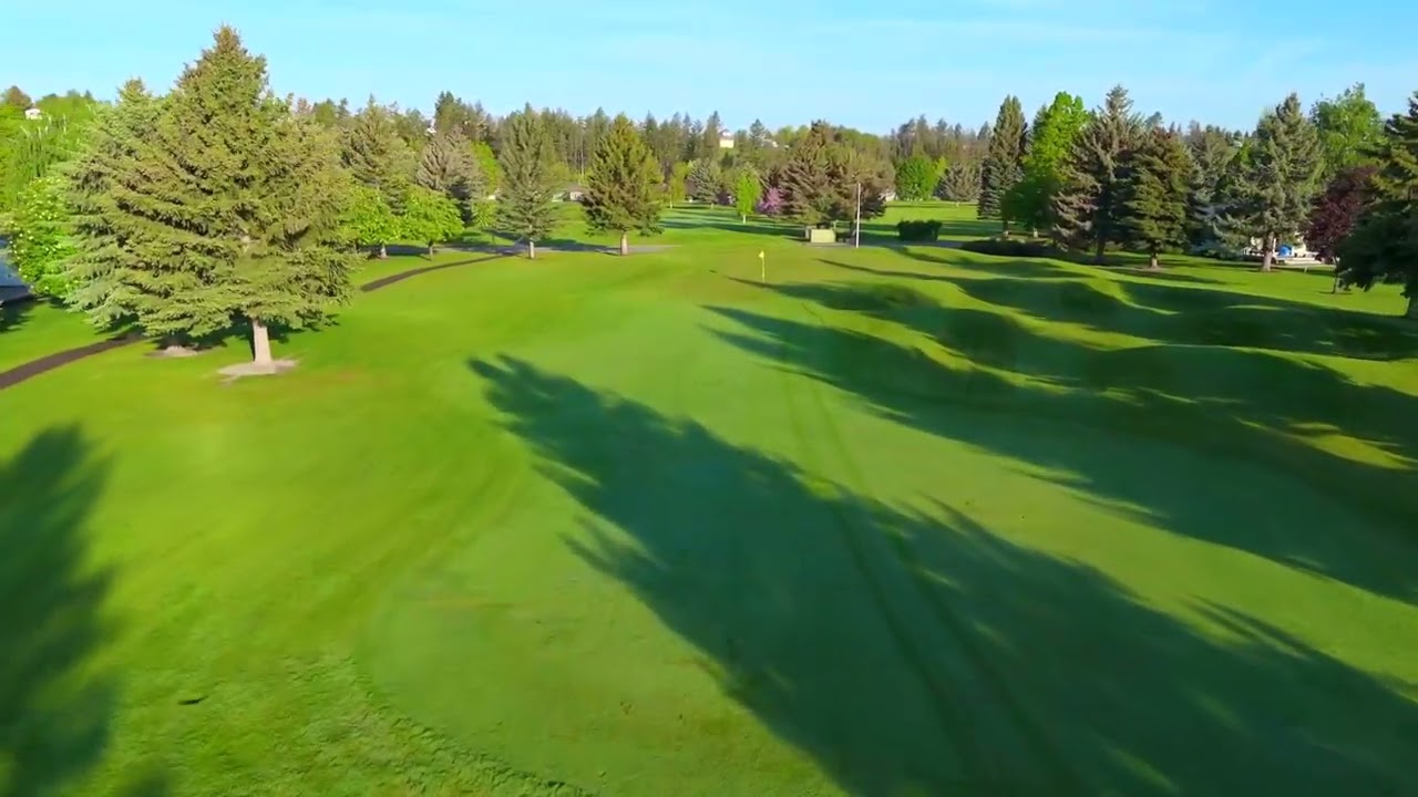 Village Greens Hole 4