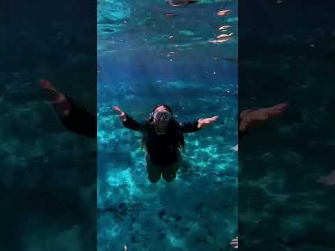 Video: Florida Keys kampovi i bitne informacije