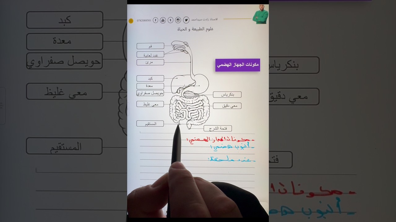 الفيديو الاول من تحدي النجاح BEM 2026👇