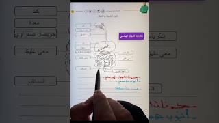 الفيديو الاول من تحدي النجاح BEM 2026👇
