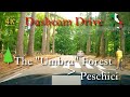 Scenic Drive (Puglia), Italy [Vico del Gargano - Umbra Forest - Peschici] July 2021 | 15:00 | ⛅