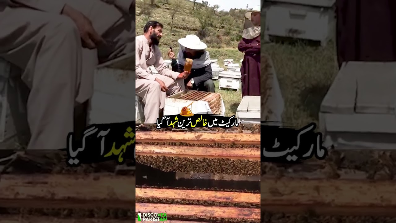 Cheapest and Pure Honey 😮😱| Discover Pakistan shorts