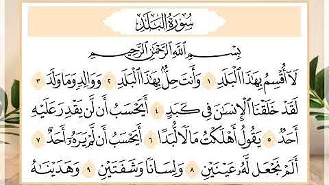 90 سورة البلد القارئ الشيخ حسن النخلي