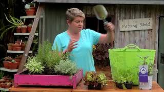 Tanya shows you how to make a fabulous birdhouse herb planter with a difference!