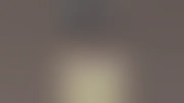تزاوج الحمار الوحشي 