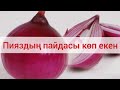 пияздың денсаулыққа пайдасы көп екен