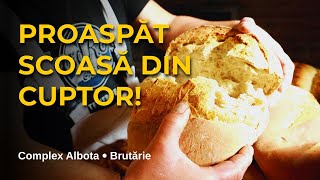 Proaspăt scoasă din cuptor! Pâinea pe vatră de la  Complex Albota
