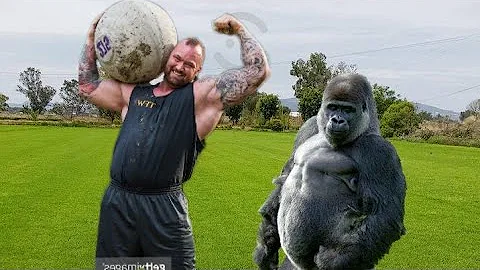 ¿Cuánto puede levantar un gorila?