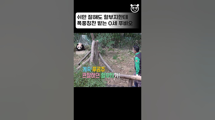 쉬하고 할부지한테 쓰담쓰담 받는 푸바오 Baby Panda Fubao & Zookeeper