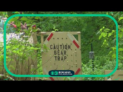 Bear attacks and injures 2 young children playing in their driveway in Pennsylvania