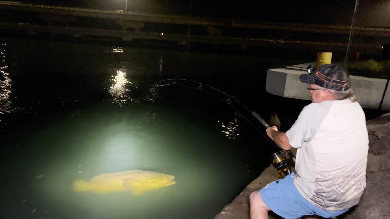GIANT GOLIATH GROUPER CAUGHT FROM SEAWALL!