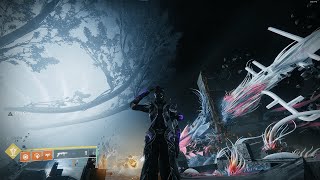 Solo Flawless Root of Nightmares | Warlock by Clarke 2,201 views 9 months ago 56 minutes