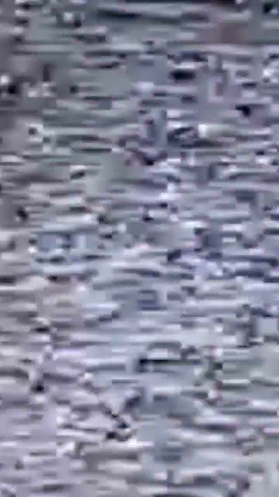 No Signal Tv Radio Effects