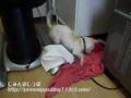 チワワが狂った!!?