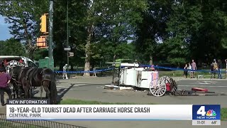 18-year-old tourist dead after carriage horse crash in Central Park | NBC New York Information