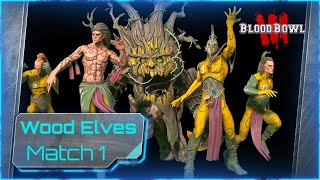 AndyDavo Does Wood Elves To Master!  Undead  Match 1