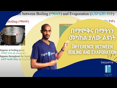 ቪዲዮ: በእንቅልፍ እና በእንቅልፍ መካከል ያለው ልዩነት ምንድነው?