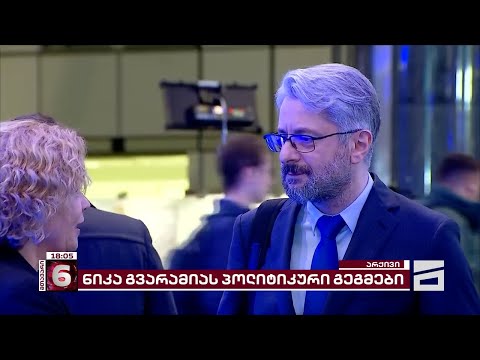 ნიკა გვარამიას პოლიტიკური გეგმები