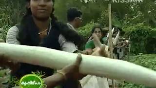 Vegetable Cultivation practices at Poovathoor Govt.HSS, Nedumangadu, Trivandrum-610