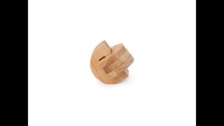 Brain puzzle №3 Temporal lobe Solution