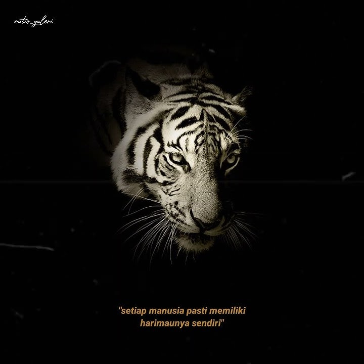 story wa khodam macan putih #shorts