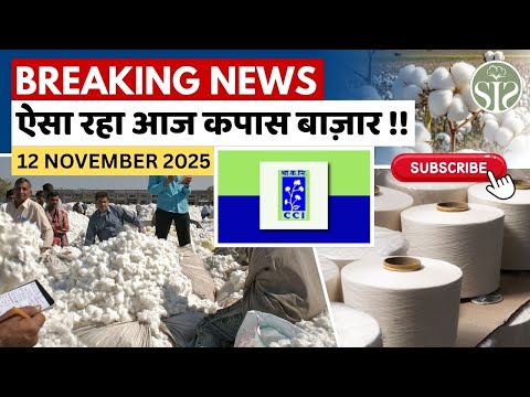 जानिए कपास बाज़ार का रुख🤔 Aaj ka kapas bajar bhav #youtube  #cottoncorporationofindia