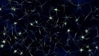 Better Brains By Design