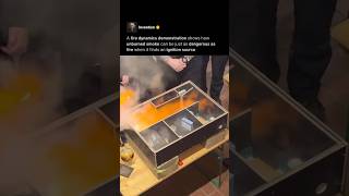 Smoke Can Explode Too 💥 Wealth
