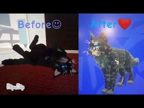 Redesigning Black'night