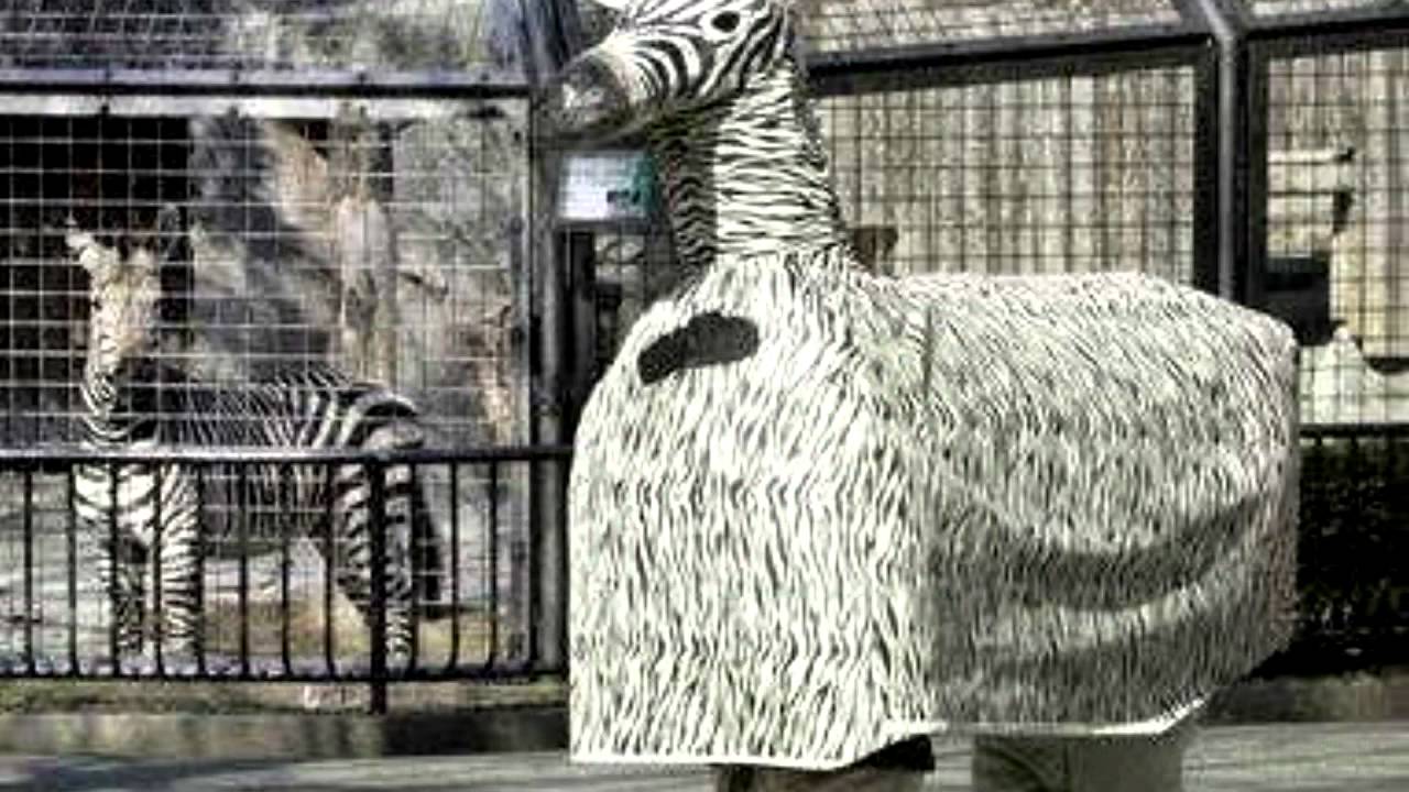 「しまうま」　谷山浩子