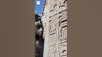 Episode "THE RHIND MATHEMATICAL PAPYRUS"! 017 #shorts