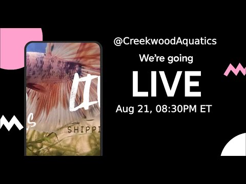 Creekwood aquatics fresh water fish sale