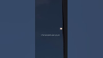 واذكر اسم ربك وتبتل إليه تبتيلا تلاوة خاشعة القارئ عبد الرحمن مسعد