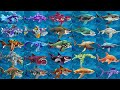 Hungry Shark World Shin Sharkjira Godzilla Unlocked - All 35 Sharks Unlocked Hack Gems Coins Mod