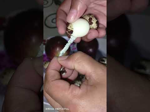 Highlight From Satisfying Peeling Pugo egg Part 30#asmr#youtubshorts