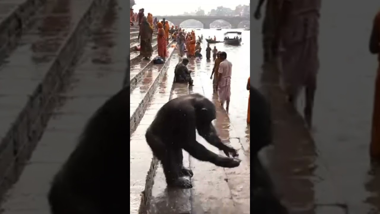 Ai representative video