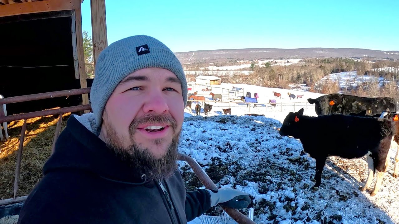 Наступили сильные морозы.