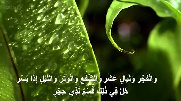بدايات سورة الفجر القارئ سلطان الصغير العنزي