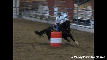 Smart Lil Blackjack - running the barrels! - ValleyViewRanch.net