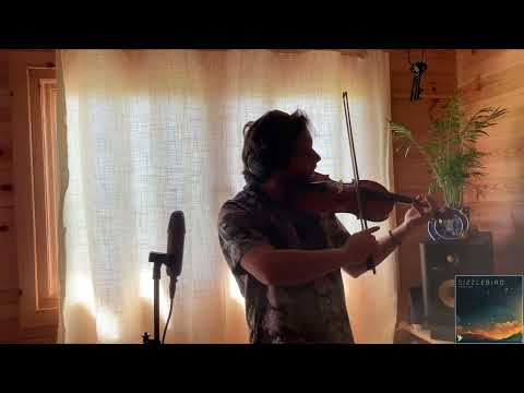 Drift to sleep | violin improvisation sunday