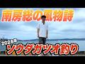 【千葉県館山】6月19日から始まったソウダガツオ入れ食い祭り!最新情報をお届け!(※要確認)