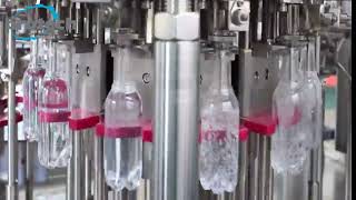 Protech Solutions - Carbonated Water 2000 Bottles Per Hour Filling And Capping Line