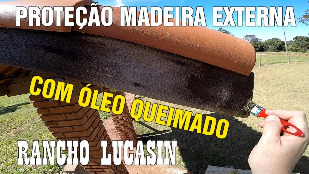 COMO PROTEGER MADEIRA CONTRA CUPIM E