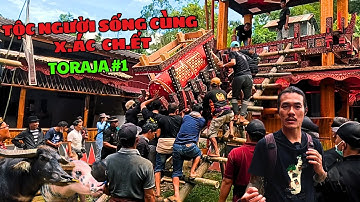 Tang lễ phụ nữ quý tộc - Toraja những người sống cùng x.á.c ch.ết